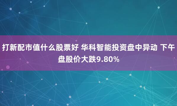 打新配市值什么股票好 华科智能投资盘中异动 下午盘股价大跌9.80%