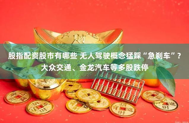 股指配资股市有哪些 无人驾驶概念猛踩“急刹车”？大众交通、金龙汽车等多股跌停