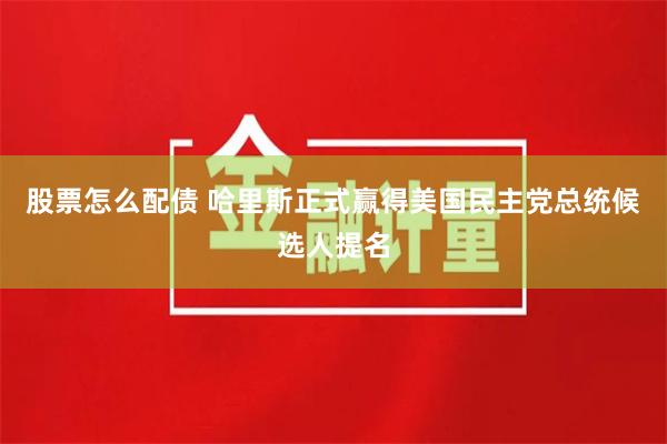 股票怎么配债 哈里斯正式赢得美国民主党总统候选人提名