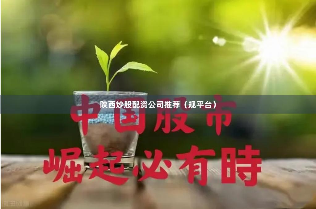 陕西炒股配资公司推荐(规平台)