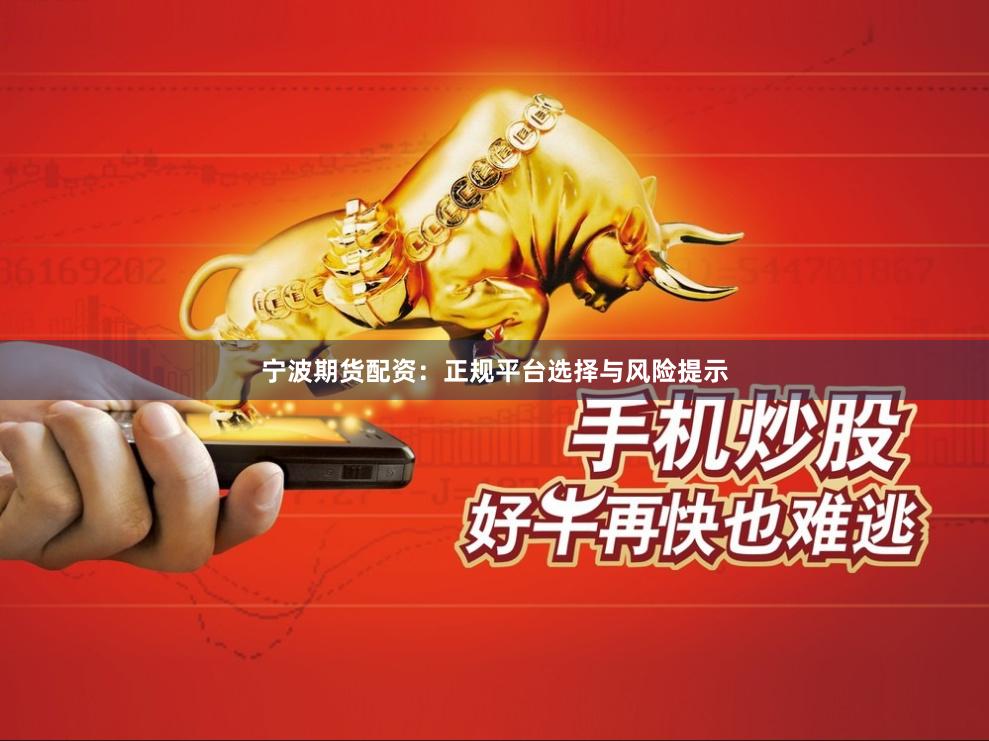 宁波期货配资：正规平台选择与风险提示